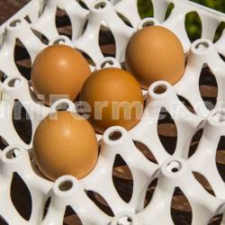 Лоток для яиц на 30 шт